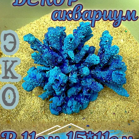 Коралл Риф