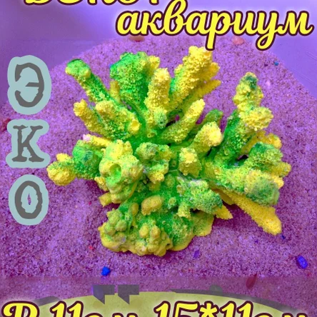 Коралл Риф