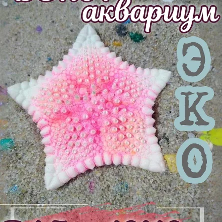 Звезда Печенька